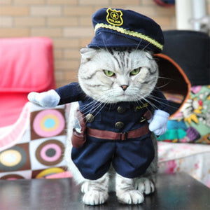 Funny Cat Outfit