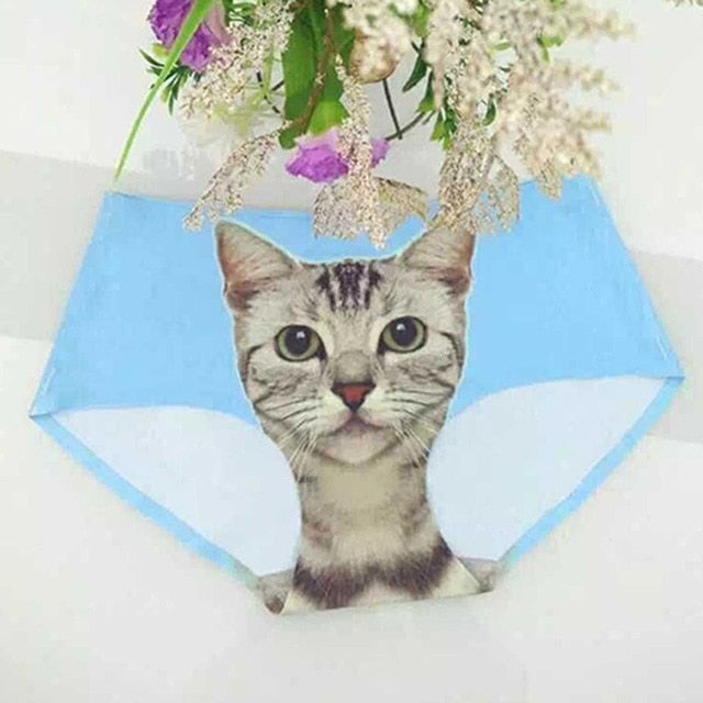 Womens 3d Print Cats Underwear – RadWish