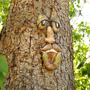 Mr Grumpy Tree Face