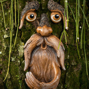 Mr Grumpy Tree Face