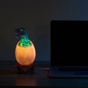 3D Best Dinosaur Lamp / Toy for Kids