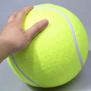 Giant Pet Ball