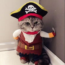 Funny Cat Outfit