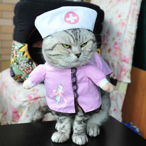 Funny Cat Outfit