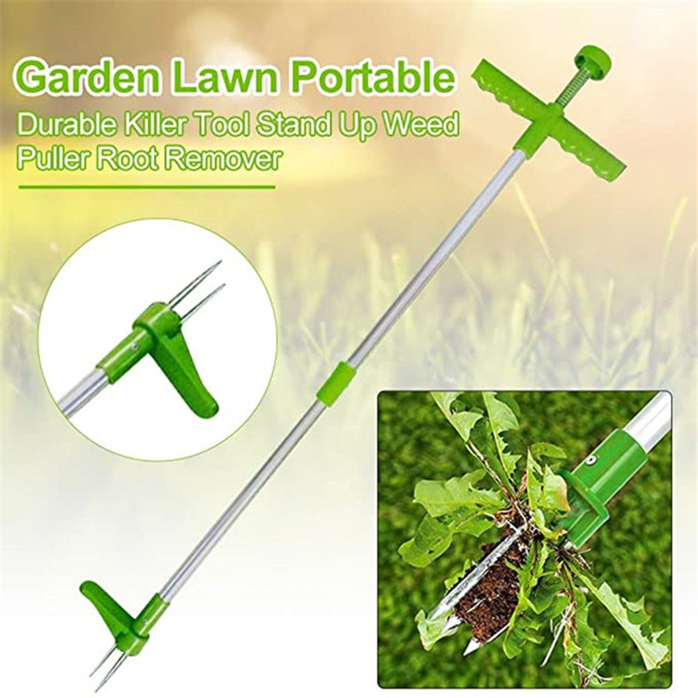 Standing Plant Root Remover
